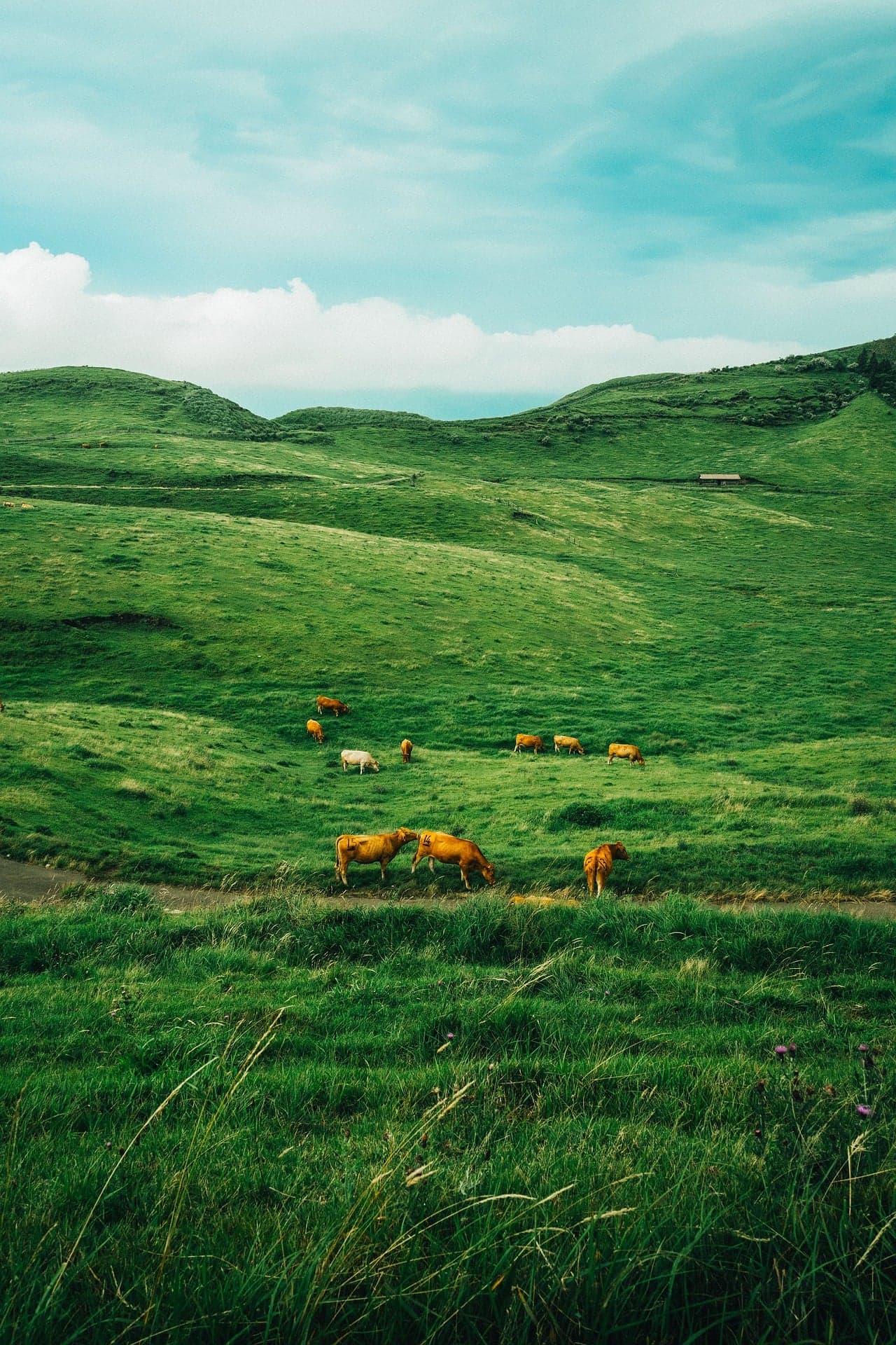 Fotografia autoral de paisagem natural em preto e branco